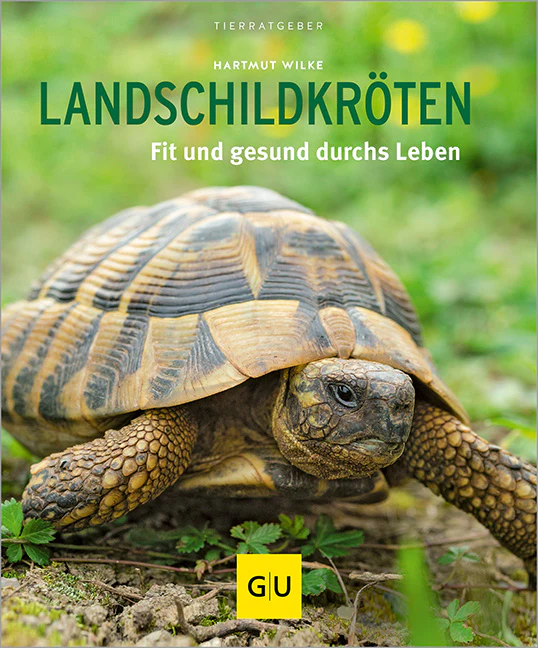 Vorschaubild 2